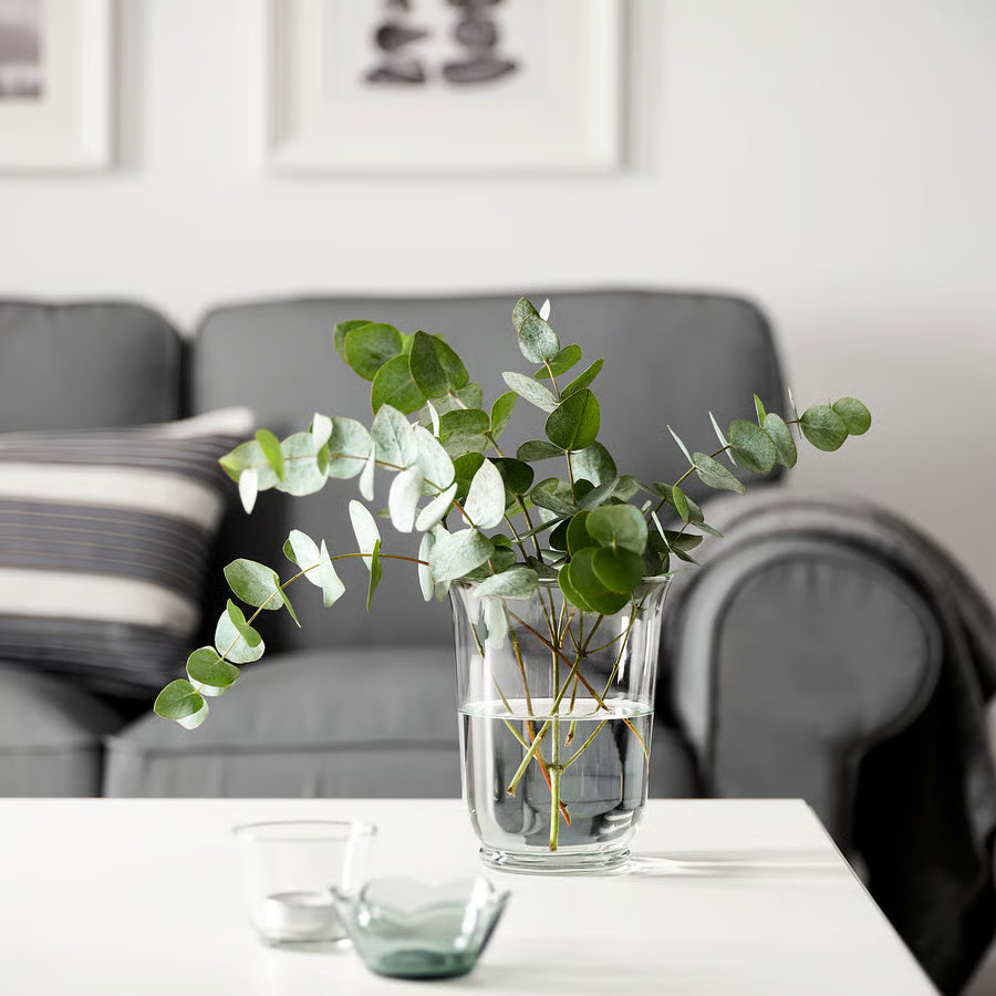 BEAM TRADING Vase/candle holder, clear glass, 18 cm (7 ")